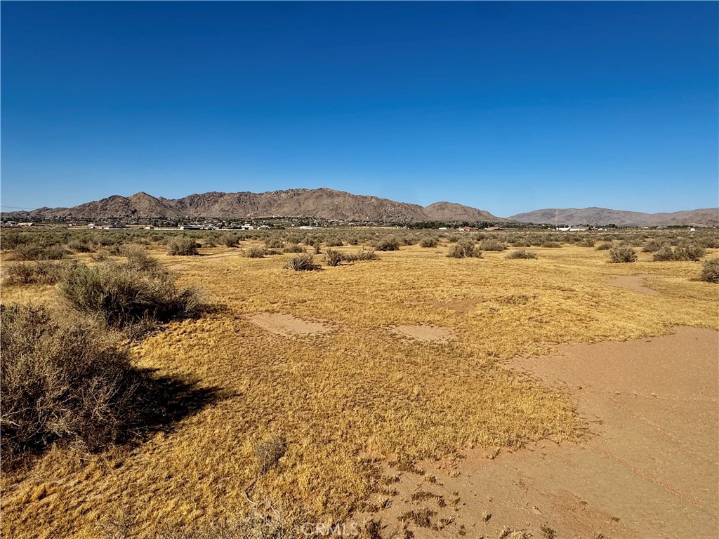 15369 Ocotilla Road