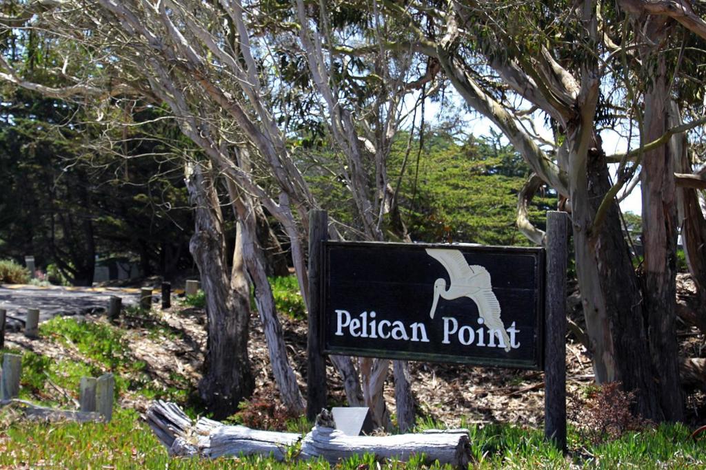 76 Pelican, Watsonville CA 95076