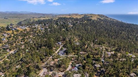 Tiny photo for 1669 Cardiff Drive, Cambria, CA 93428 (MLS # SC26081430)