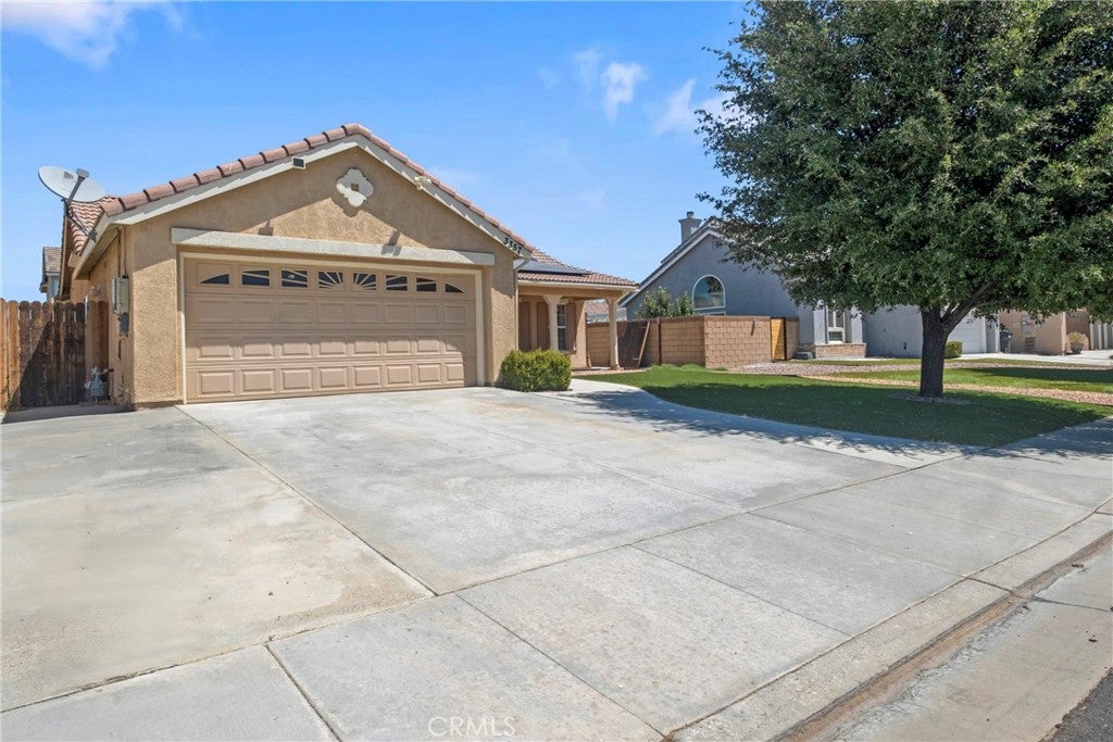 3357 Firebush