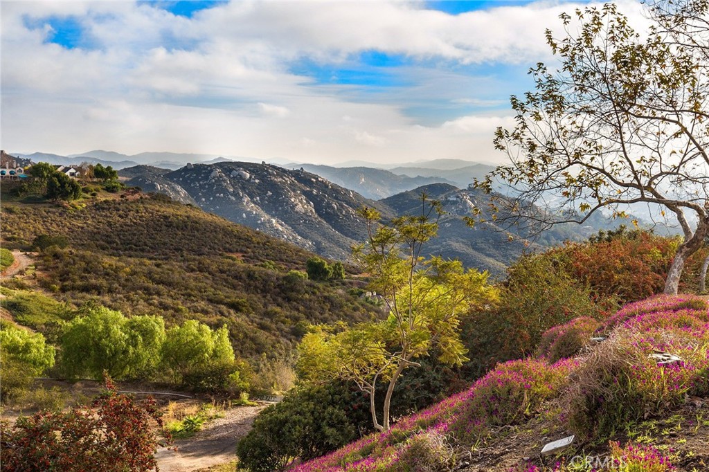 North Escondido - Residential