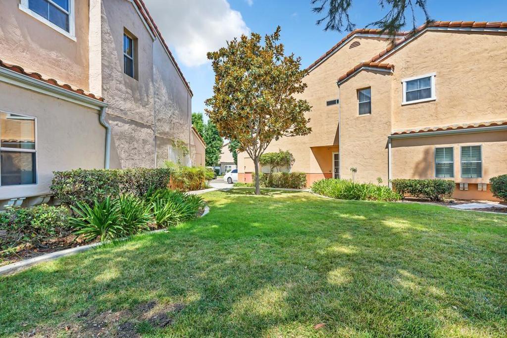 9009 Calle Del Verde