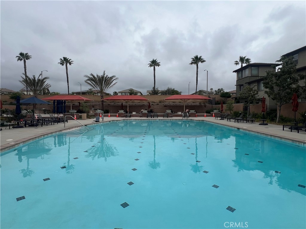 12377 Hollyhock Drive 3