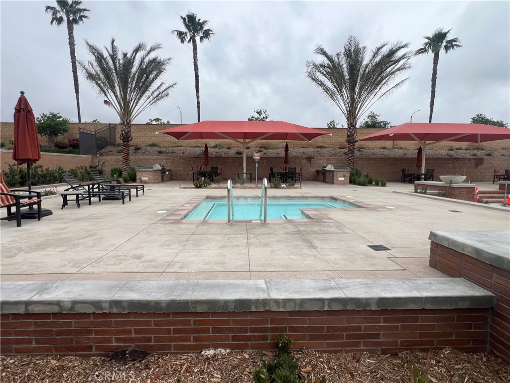 12377 Hollyhock Drive 3