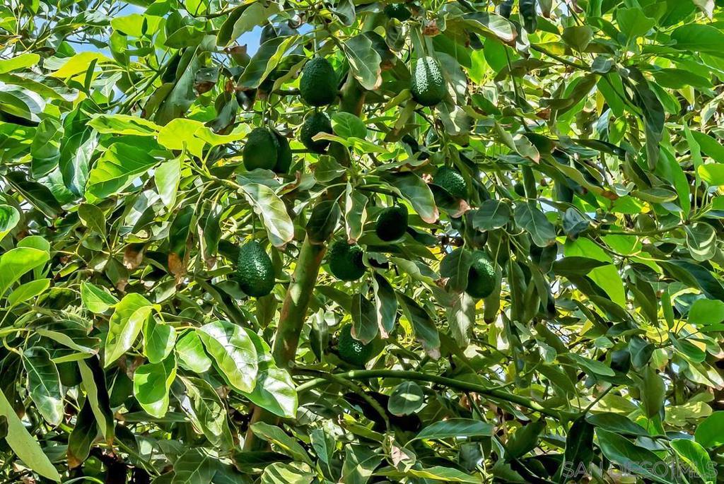 Valley Center - Residential