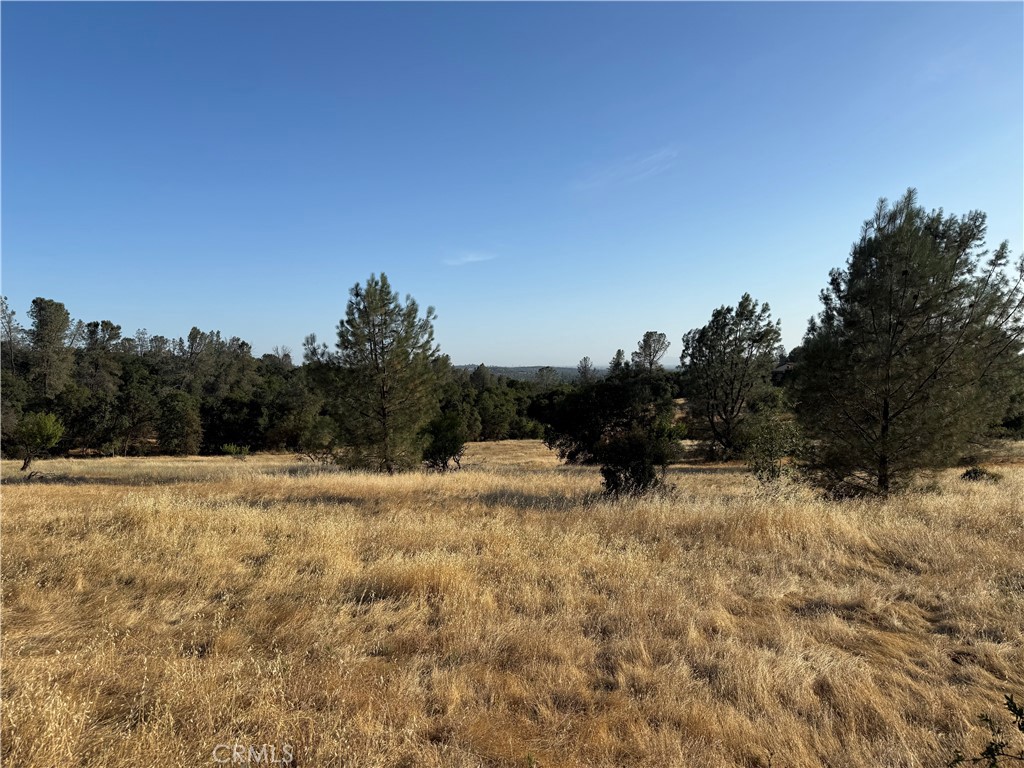 Build Your Dream Home with Stunning Views, Lower East Oroville!! Welcome to the ideal homesite in the highly desirable Lower East Oroville area just 10 minutes from schools, shopping, and medical services, and only a few miles from the scenic beauty and recreation of Lake Oroville. This 5+ acre parcel offers breathtaking valley views and picturesque vistas of the majestic Sutter Buttes. with city water lines already run to the property (per seller) and power nearby on adjacent parcels, this lot is well-positioned to simplify your build process. Looking for even more space? This listing is for the upper parcel (APN ending in 084); the adjacent lower parcel is also available for purchase. Some photos shown include both parcels to help illustrate the full potential of owning the full 10.93-acre site. Don't miss this exceptional opportunity to build your dream home in one of Oroville’s most scenic and sought after areas.