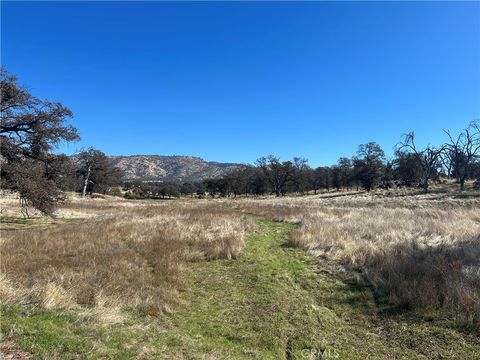 Photo of 5 ac Tinkers Penny Ln, Catheys Valley, CA 95306 (MLS # MP25249859) Photo of 5 ac Tinkers Penny Ln, Catheys Valley, CA 95306 (MLS # MP25249859)