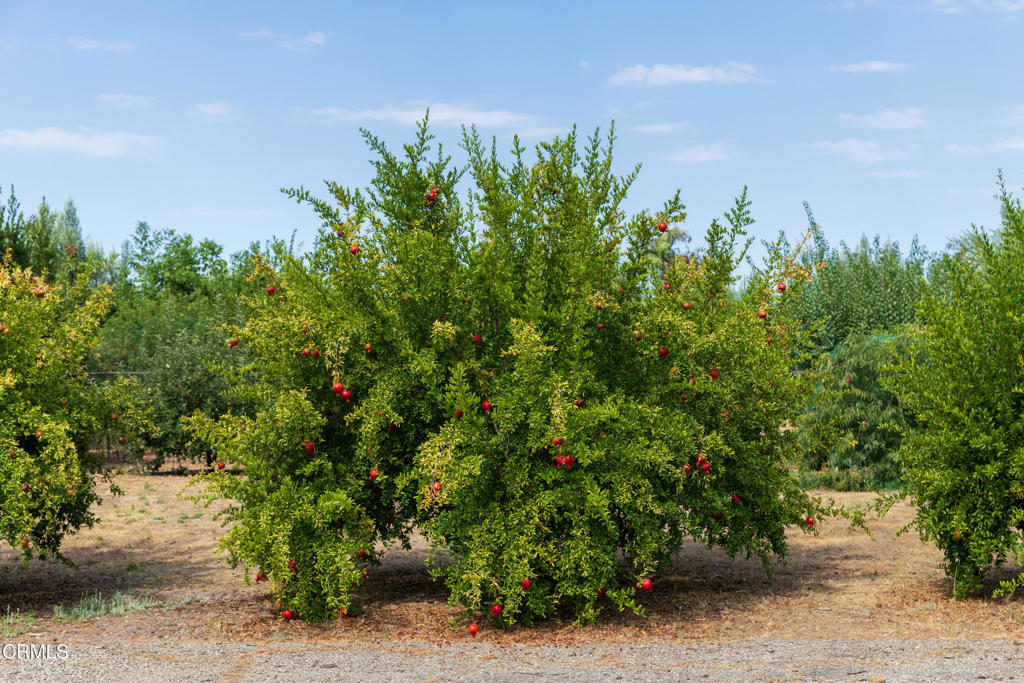 Not Applicable - Residential