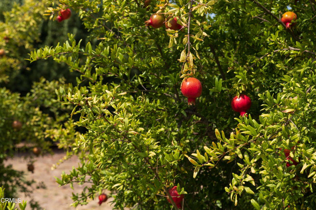 Not Applicable - Residential