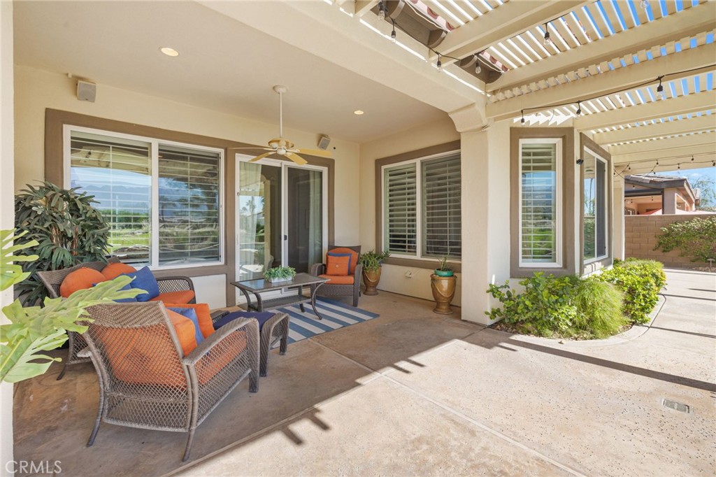 81687 Desert Willow