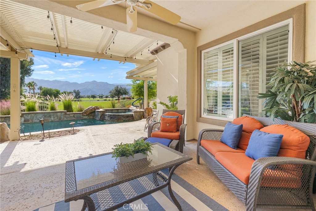 81687 Desert Willow