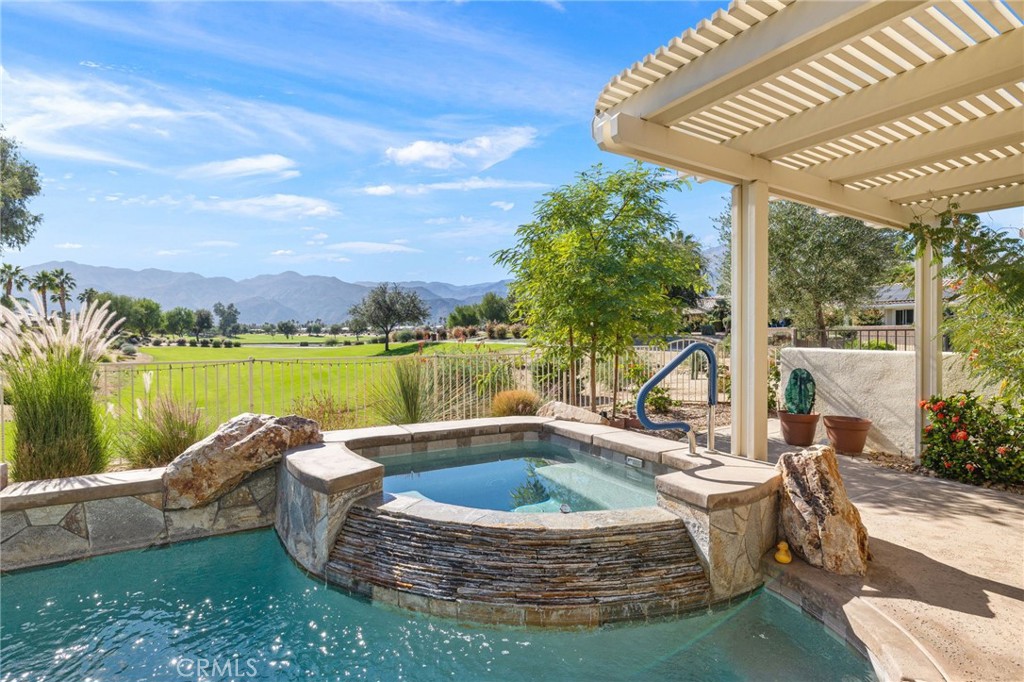 81687 Desert Willow