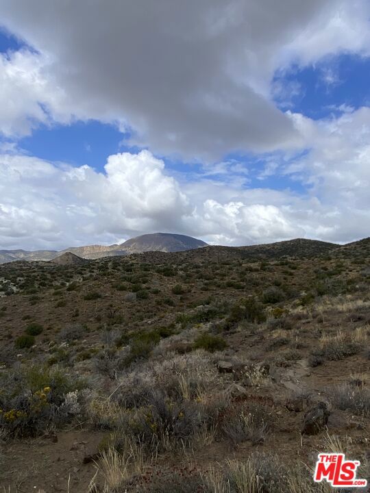 20 acres of paradise located in the Tehachapi Mountains with panoramic 360-degree views overlooking the city and Mojave Desert. Elevated vantage point offers stunning daytime landscapes, sparkling night views, and abundant wildlife accessible for hunting. Perfect for a custom home, vacation retreat, or long-term investment. Peaceful mountain setting with open skies and natural surroundings, yet conveniently accessible to city amenities. Roads will be graded for easy access and safety. Development is underway in the area, making this an excellent opportunity to secure land with strong growth potential.