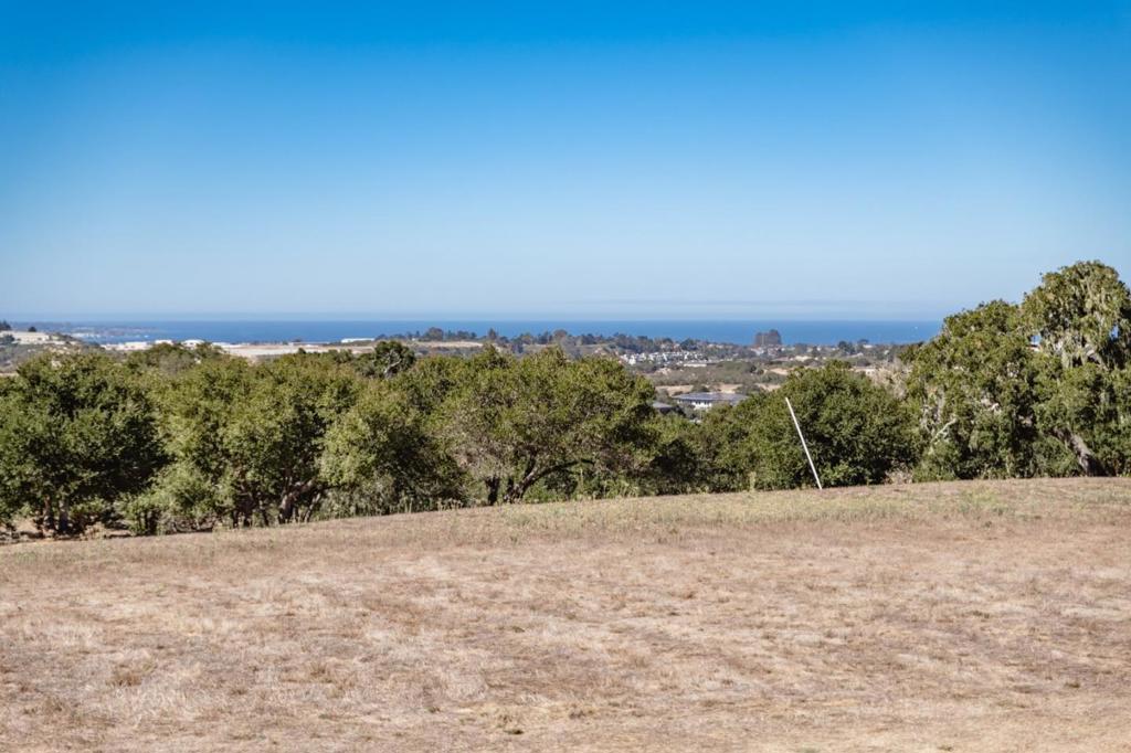 8350 Monterra Views