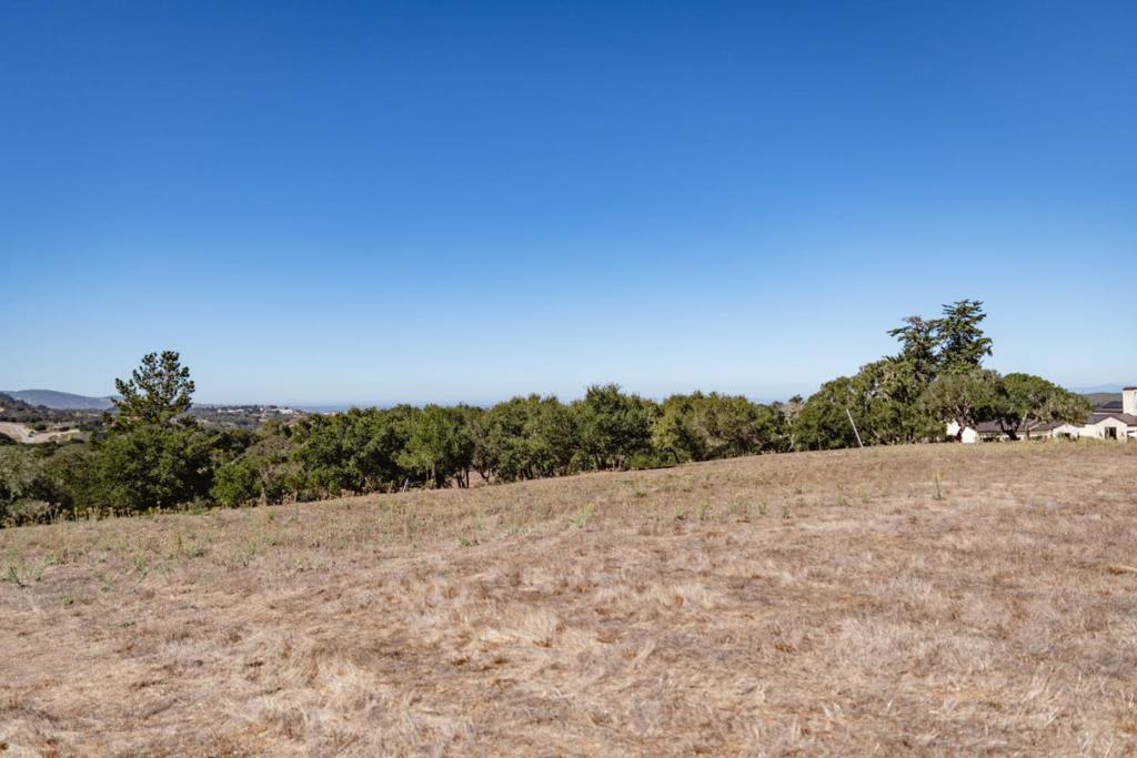 8350 Monterra Views
