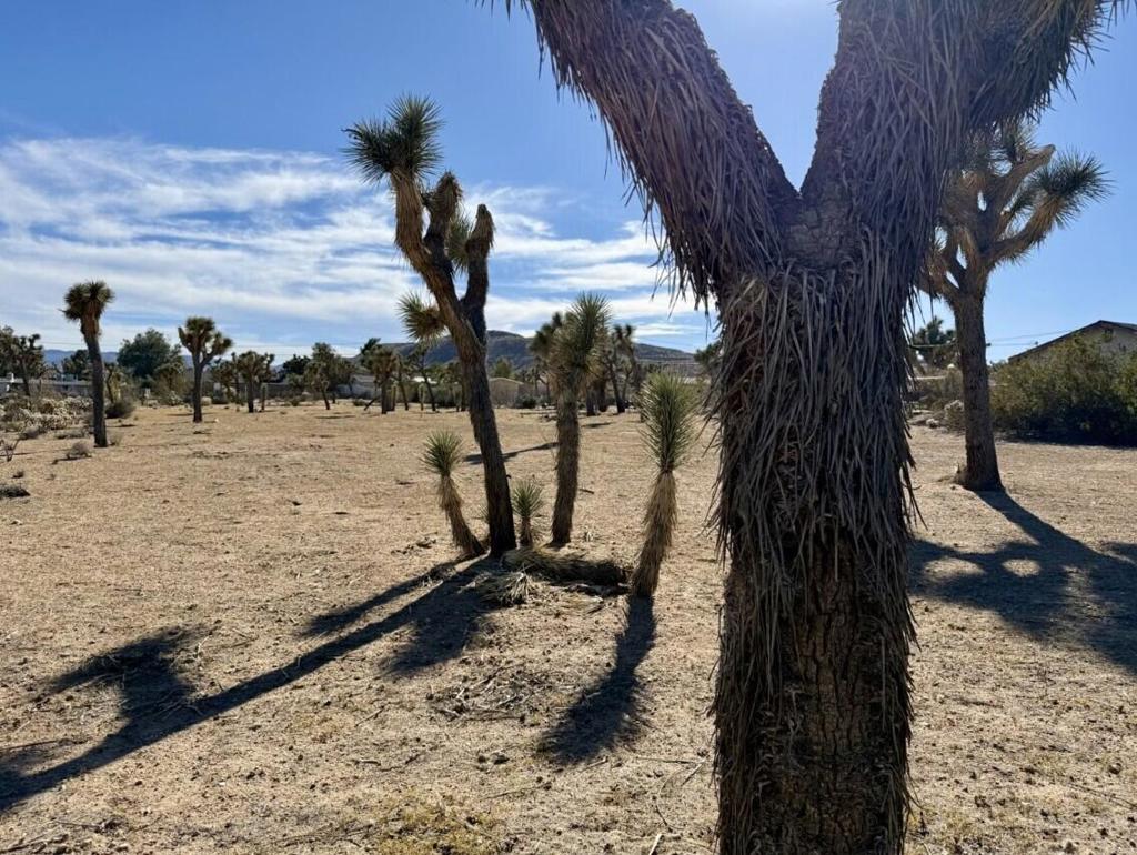 Not Applicable-1 - Land