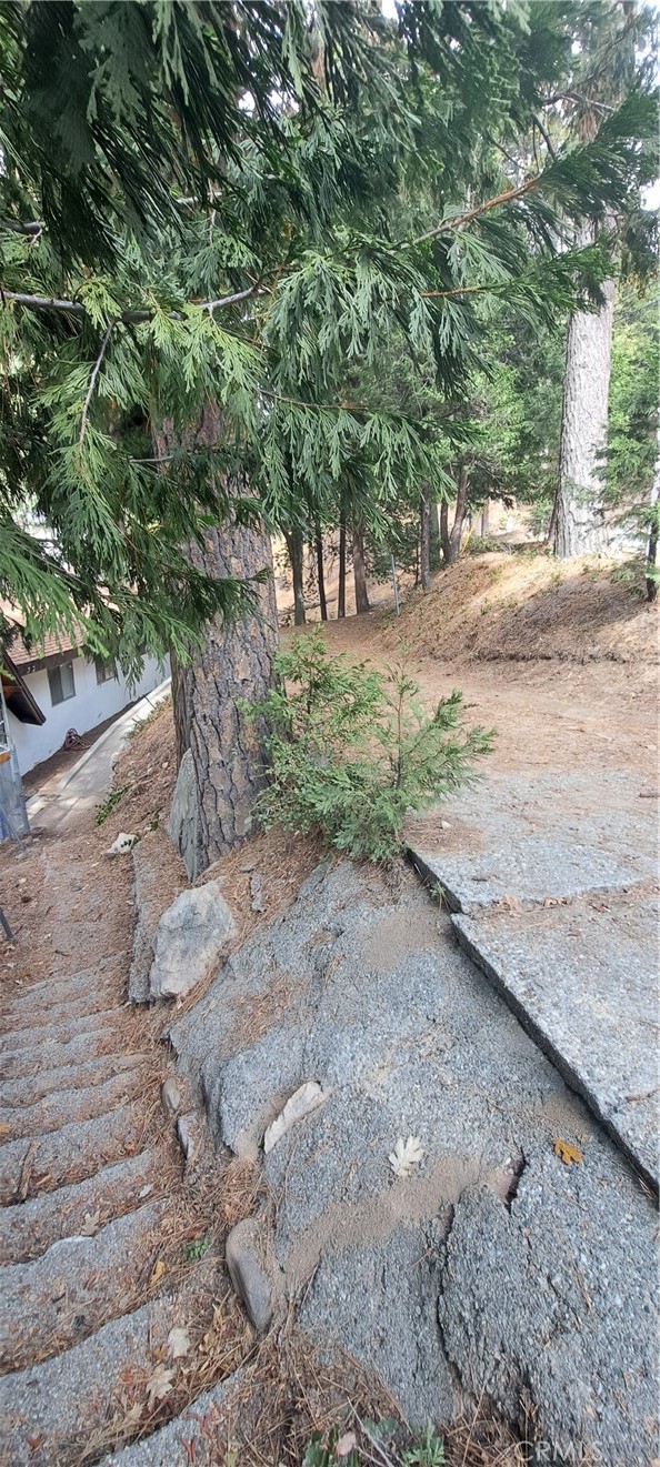 Twin Peaks (TWIN) - Residential