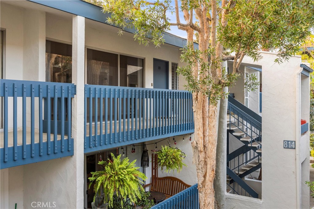 814 Camino Real 203