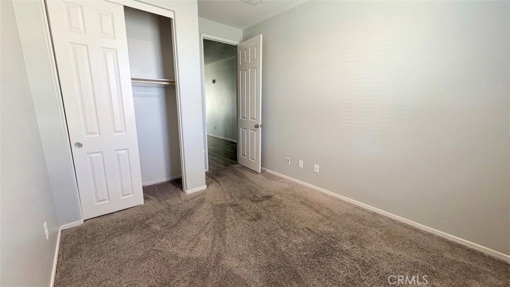 29155 Bottlebrush