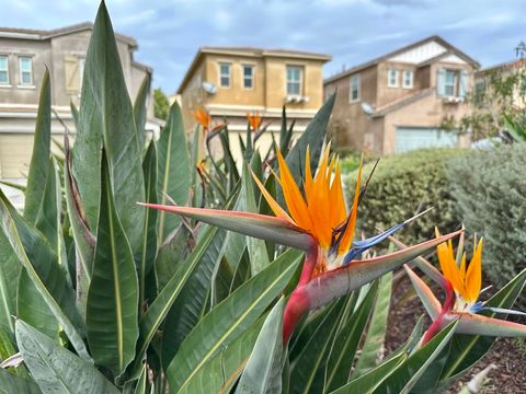 Photo of 1132 Cherry Tree Lane Ln, Vista, CA 92084 (MLS # 260008009SD)