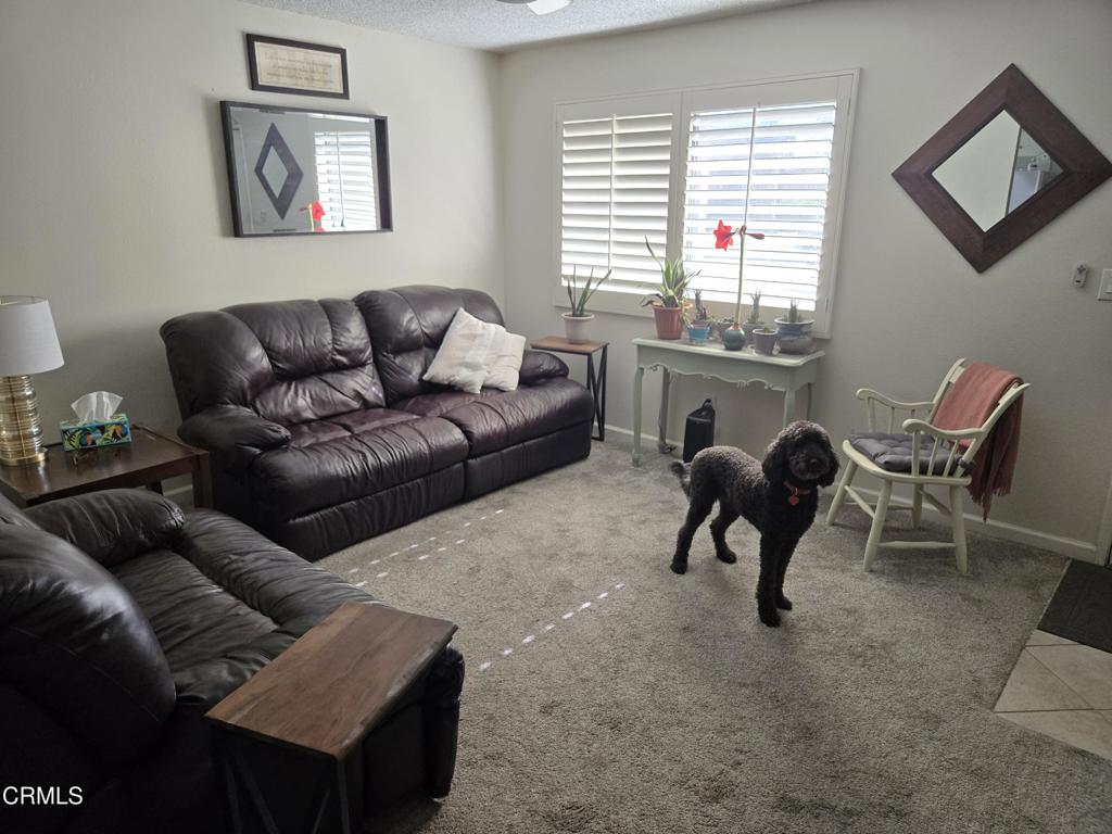 43920 Bobby Jones Drive 20