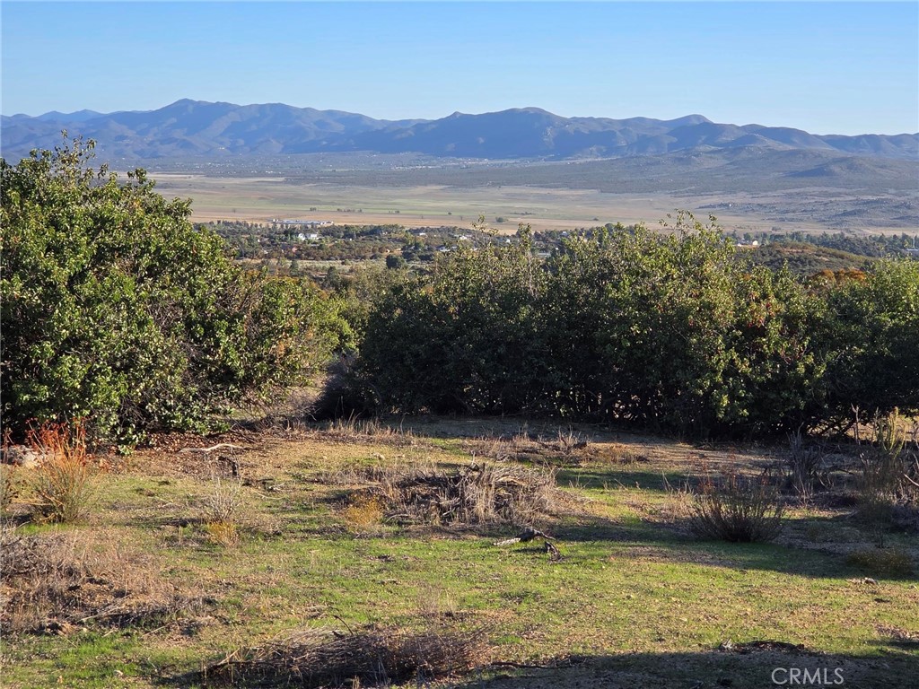 Wow, over 50 acres of beautiful land with SWEEPING VIEWS of the valley and surrounding mountains, WATER, and just off a paved road. Two parcels are being sold together. Very private but a just a quick 5 minute drive to town. There are several graded pads for building your dream home or ranch. Electricity is at the street. Owner may carry! Seller is motivated, come take a look and bring your offer. Also see land lender info in supplements.