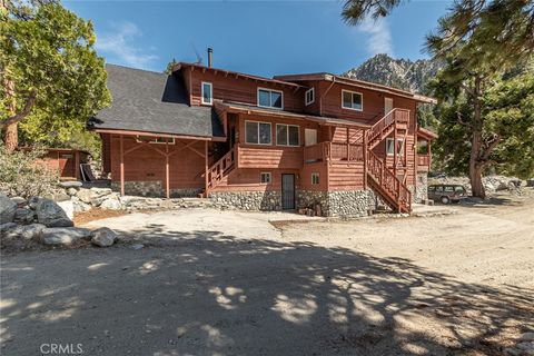 Photo of 41505 Alder Drive, Forest Falls, CA 92339 (MLS # CV25091027) Photo of 41505 Alder Drive, Forest Falls, CA 92339 (MLS # CV25091027)