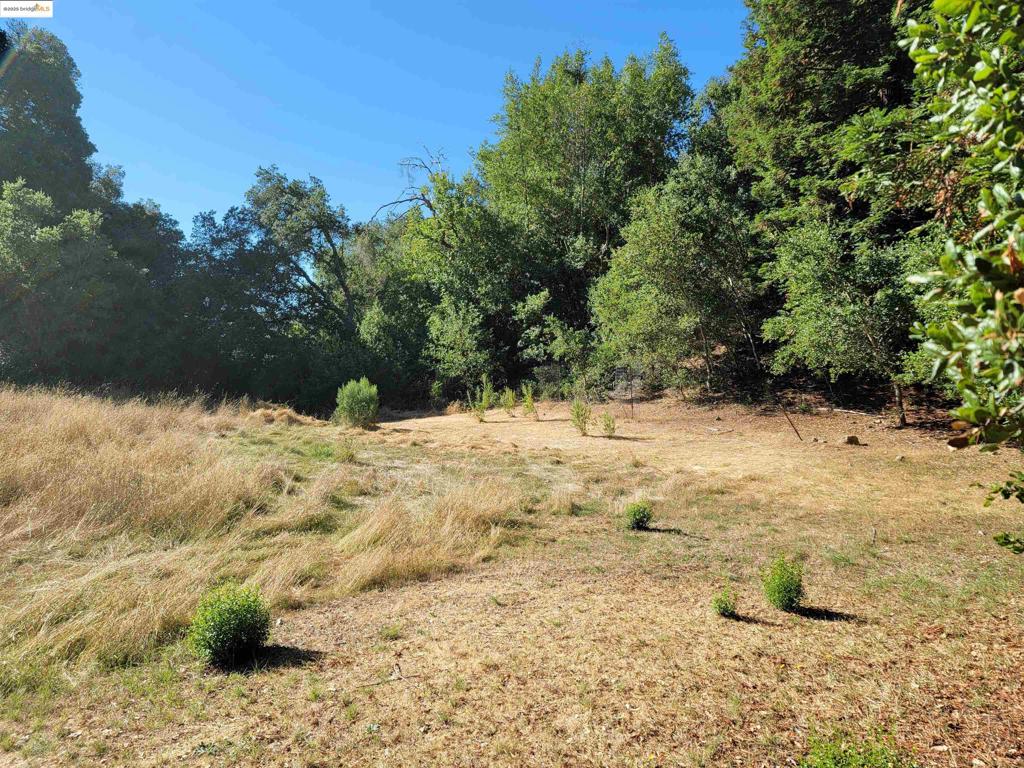 LOST VALLEY EST - Residential