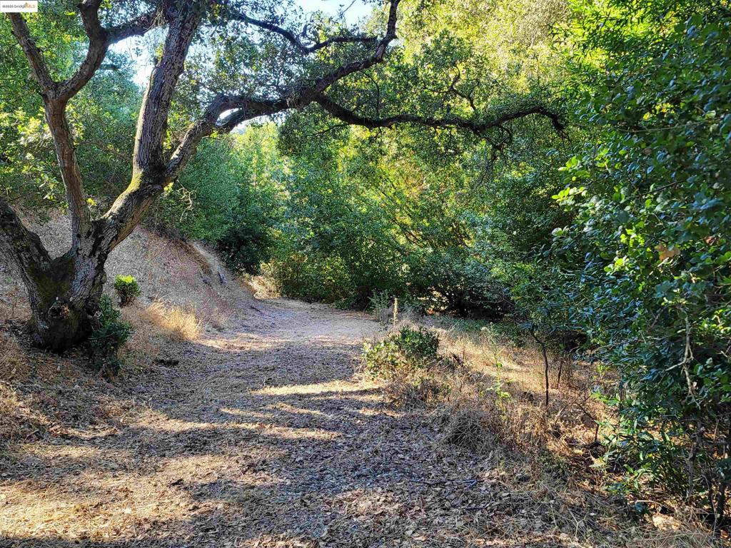 LOST VALLEY EST - Residential