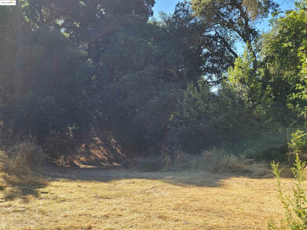 LOST VALLEY EST - Residential