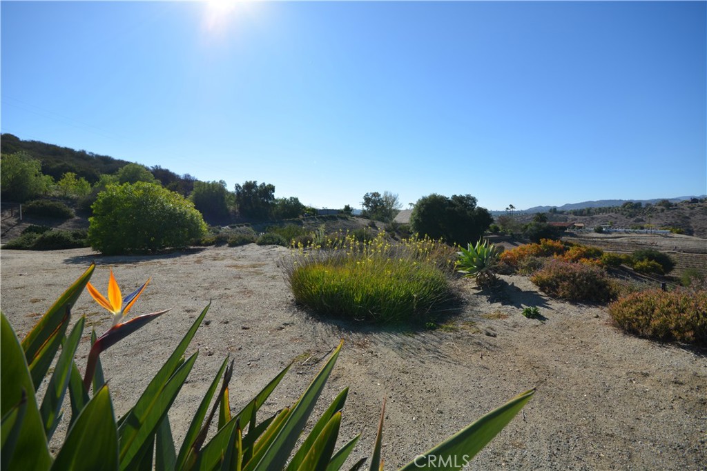 Fallbrook - Residential