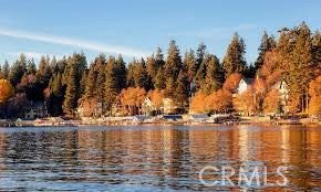 1894 Lot 31 Arrow Bear Park