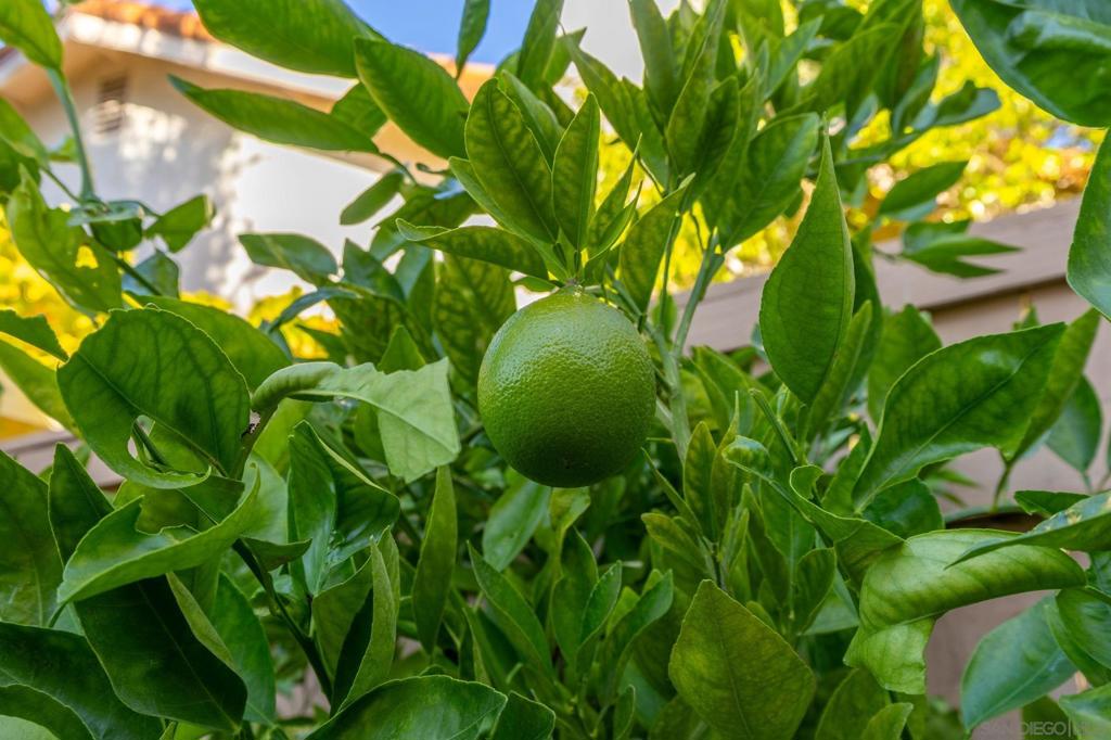 El Cajon - Residential