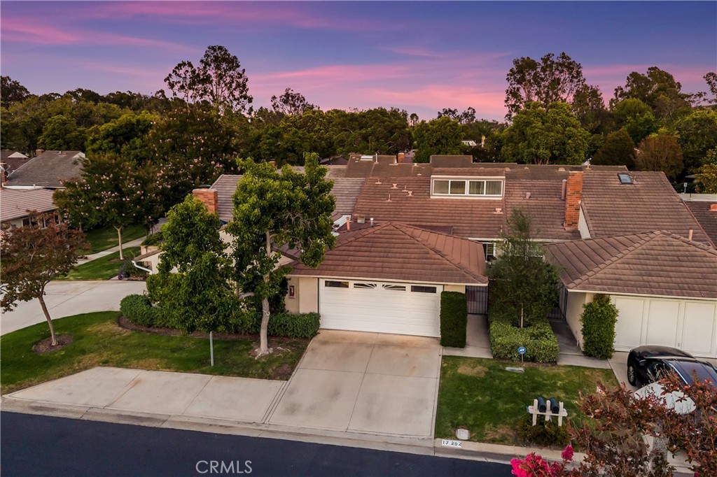 17292 Candleberry