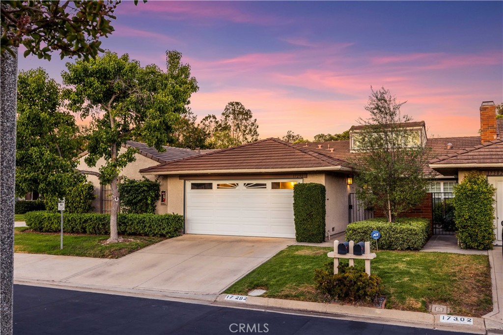 17292 Candleberry