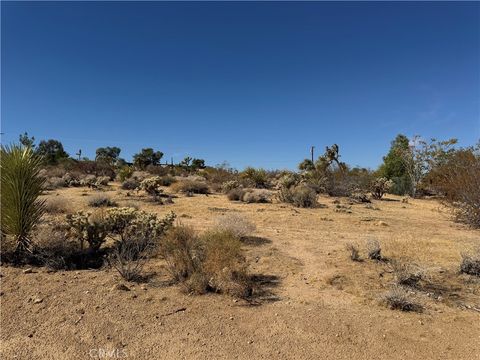 Photo of 7218 Juniper, Joshua Tree, CA 92252 (MLS # JT26022446)