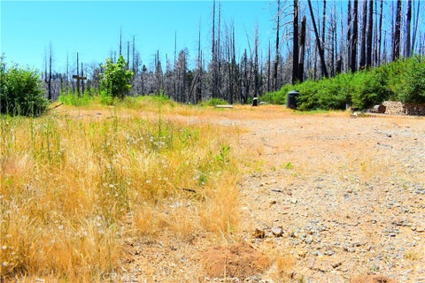 Photo of 461 Milsap Bar RD, Berry Creek, CA 95916 (MLS # PA26192334)