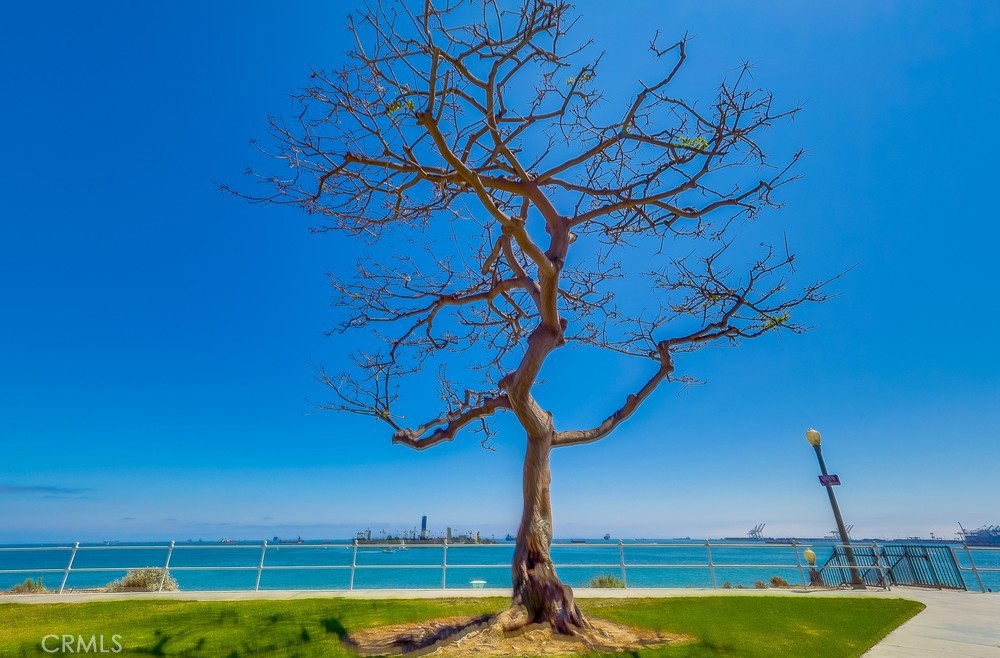 The Galaxy Towers (TGT) - Residential Income