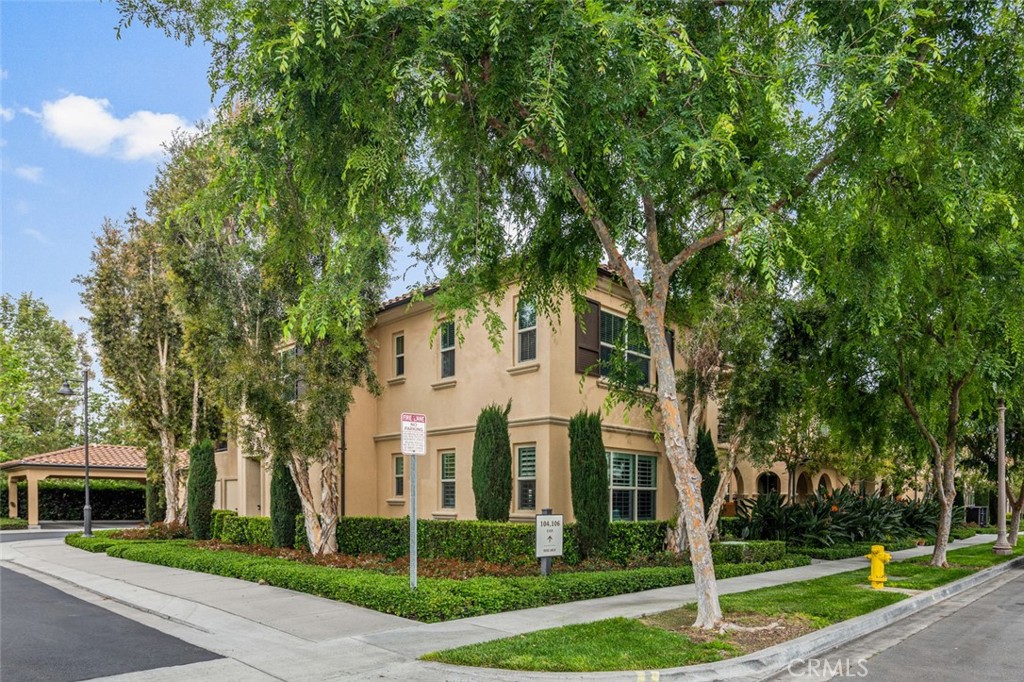 102 Rose Arch 23