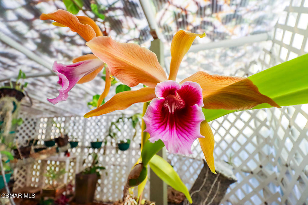 Campus View - CV - Residential