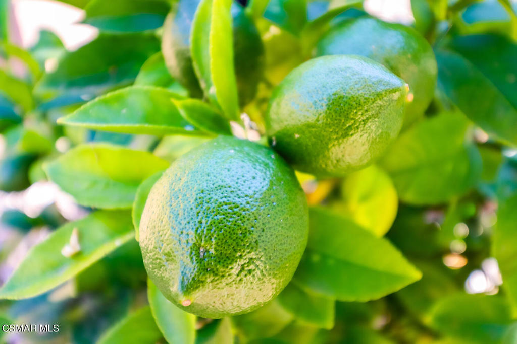 Campus View - CV - Residential