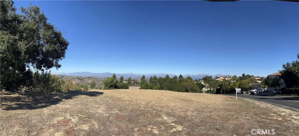 3121 Steeplechase Ln