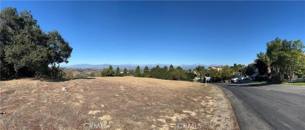 3121 Steeplechase Ln