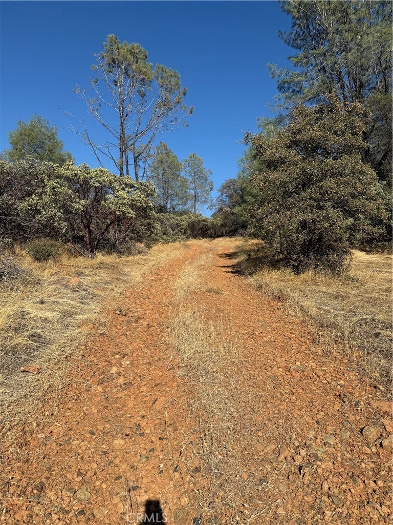 0 Oregon Gulch