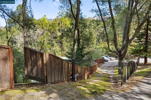 Photo of 49 49 Tiger Tail Court Rd, Orinda, CA 94563 (MLS # 41126541)