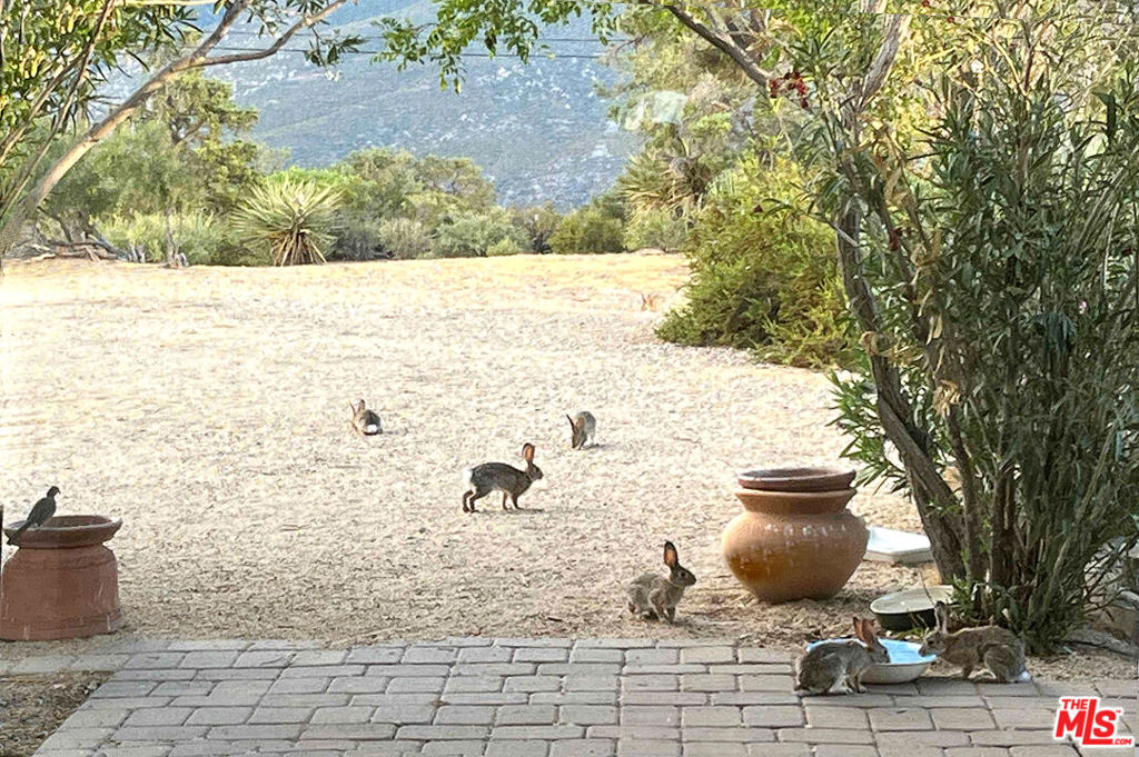 Pinyon Crest - Residential