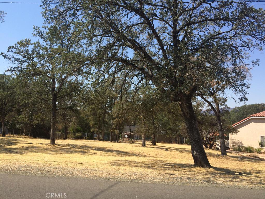 Lovely, fairly level parcel may catch lake views with careful planning. Come build in beautiful Hidden Valley Lake and experience all that this neighborhood has to offer! UBL #06-04-03