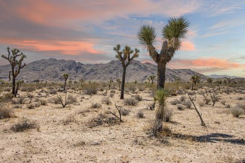 Photo of 124 Drexel Road, Joshua Tree, CA 92252 (MLS # 219131391PS) Photo of 124 Drexel Road, Joshua Tree, CA 92252 (MLS # 219131391PS)