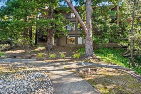 Photo of 3314 Brittan Avenue #1, San Carlos, CA 94070 (MLS # ML82038507)