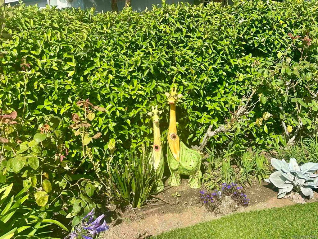 La Jolla, California 92037, United States, 3 Bedrooms Bedrooms, ,2 BathroomsBathrooms,Residential,Active,219433